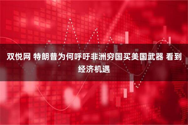 双悦网 特朗普为何呼吁非洲穷国买美国武器 看到经济机遇