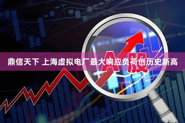 鼎信天下 上海虚拟电厂最大响应负荷创历史新高